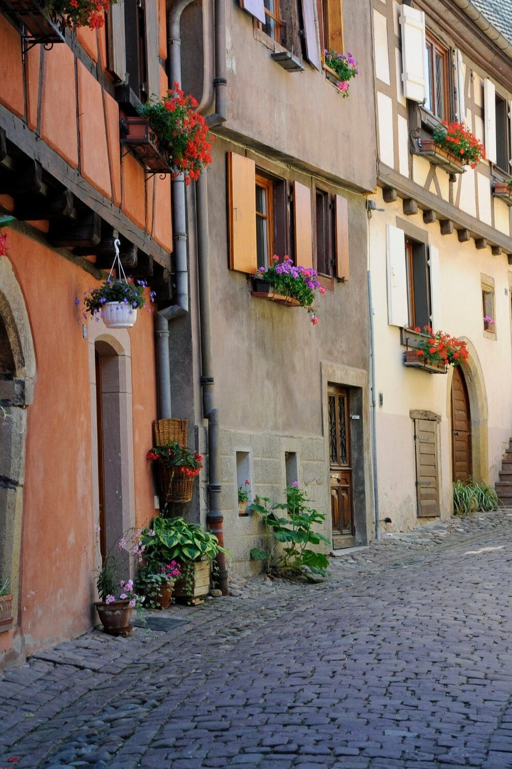 Cobblestone street with flower box windows and half timbered buildings Eguisheim Alsace France
