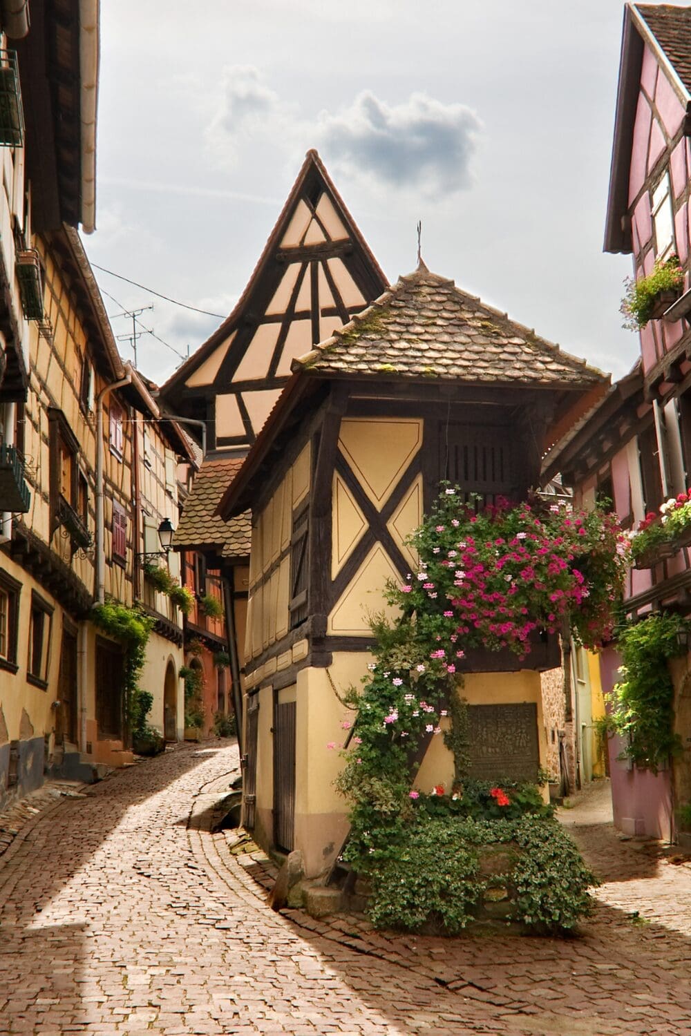 Colorful half timbered buildings on cobblestone street with pink flowers Eguisheim Alsace France