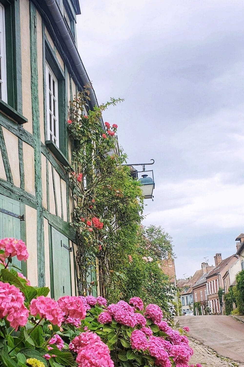 Half timbered building with pink hydrangeas on cobblestone street Lyons-la-Foret Normandy France