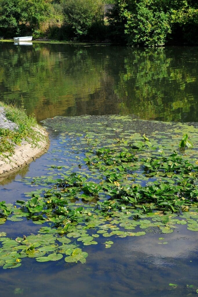 Peaceful river with lily pads and rowboat at Saint-Ceneri-le-Gerai Normandy impressionist village France