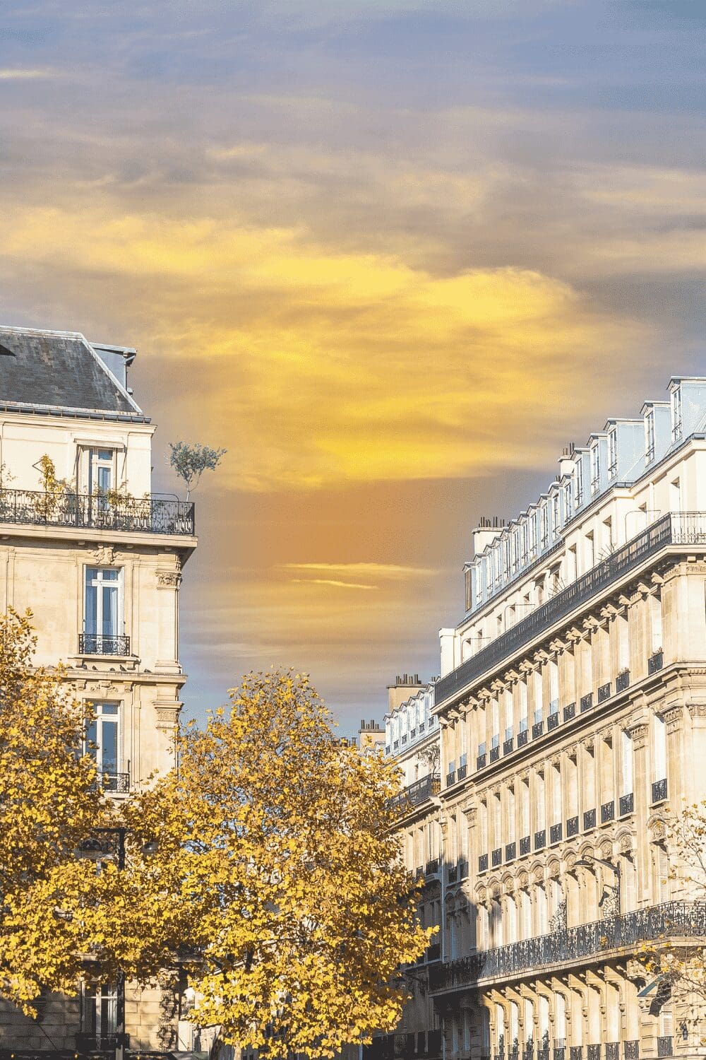 Luxury Paris travel Haussmann architecture at golden sunset with autumn trees France