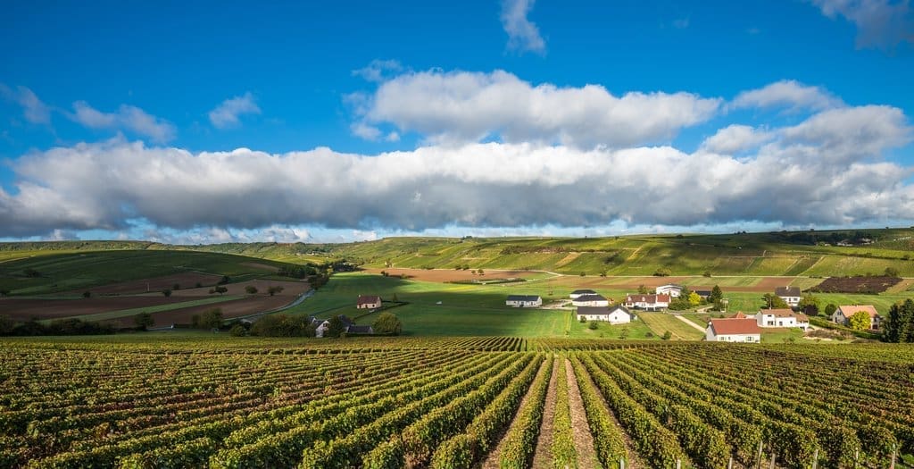Sweeping panoramic view of Loire Valley vineyards and rolling green hills under a dramatic blue sky, France