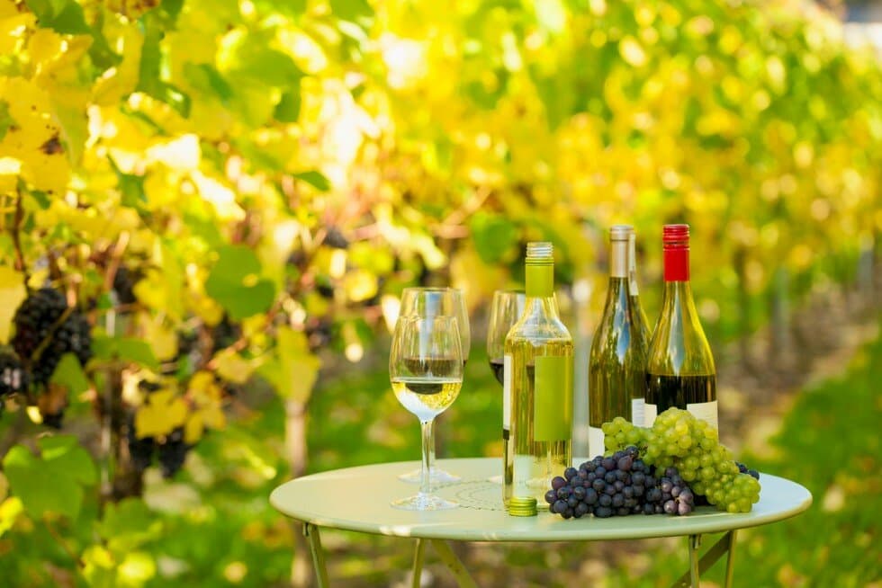 Wine glasses and bottles on a bistro table surrounded by lush green Loire Valley vineyards in Vouvray France